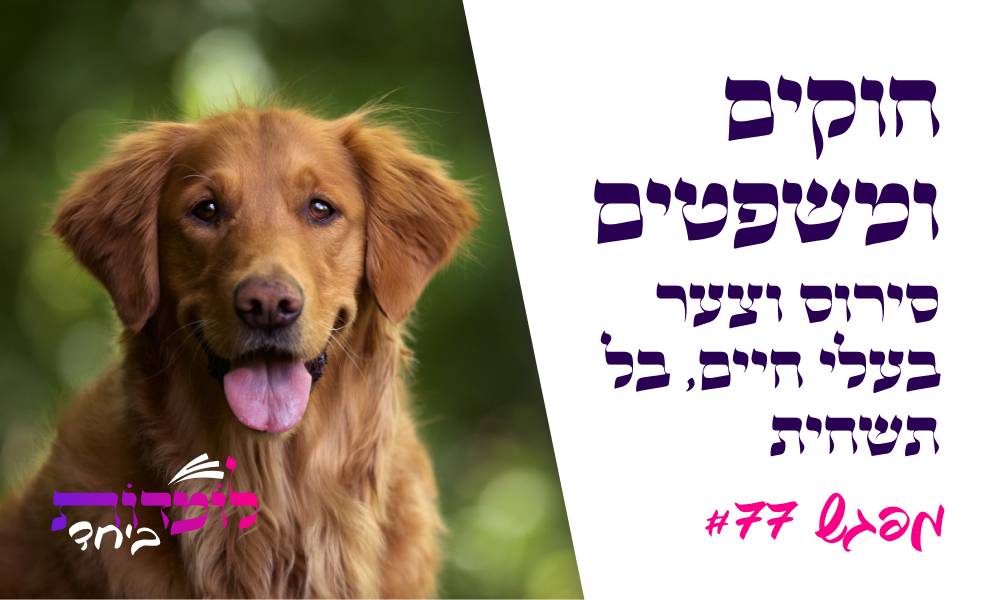צער בעלי חיים